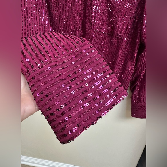 Anthropologie Sequin Burgundy Button Down Shirt - Picture 3 of 7